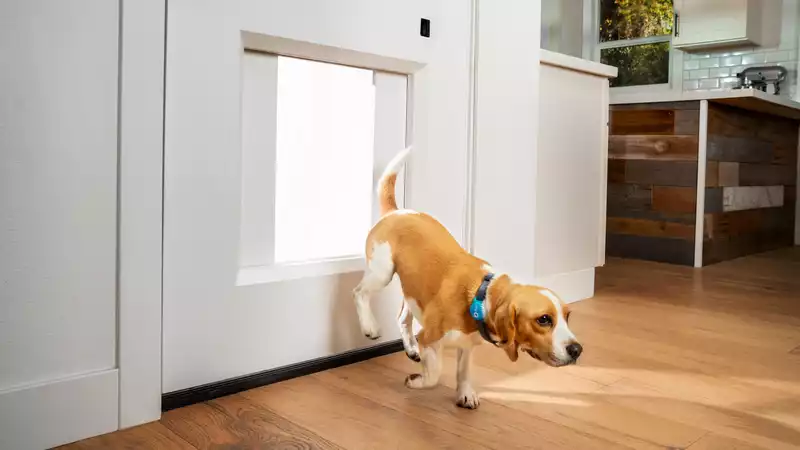 This door3,000 door will open automatically when your dog needs to whiz