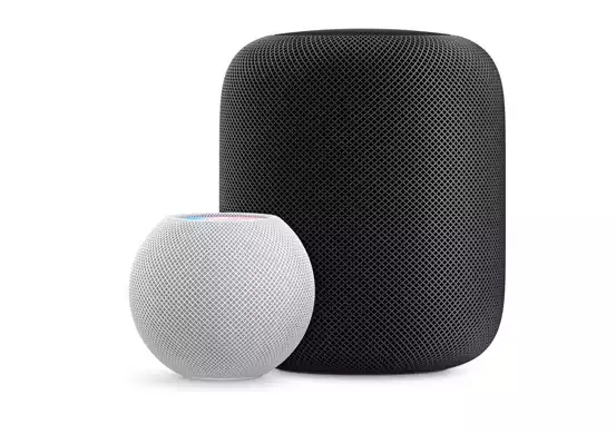 Home Ipad Mini vs Homepod: What should You Buy?