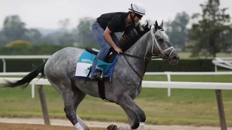 How to watch the Belmont Stakes 2021 Live Stream - Race Post Time and more