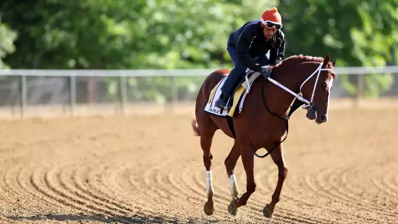 Preakness2023 Live Stream: How to watch online now, Race time, Horses, odds